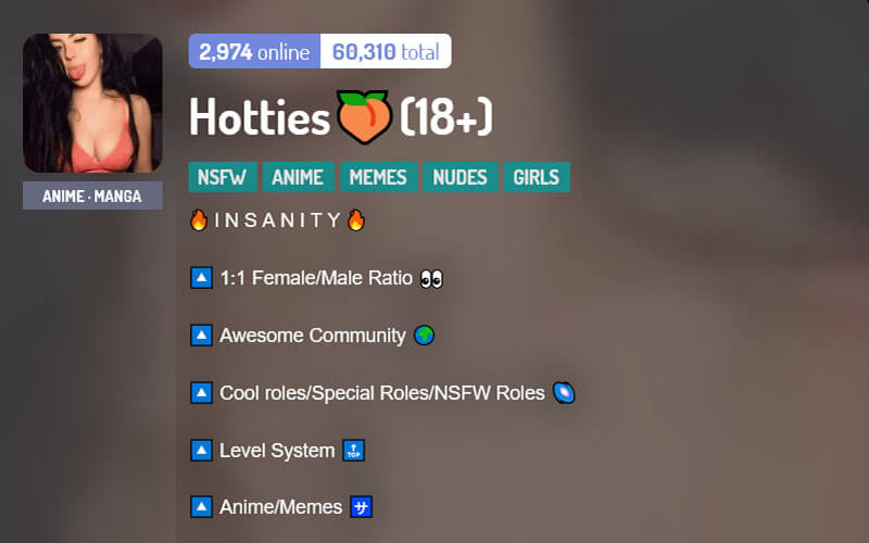Hotties NSFW Porn Discord Server.