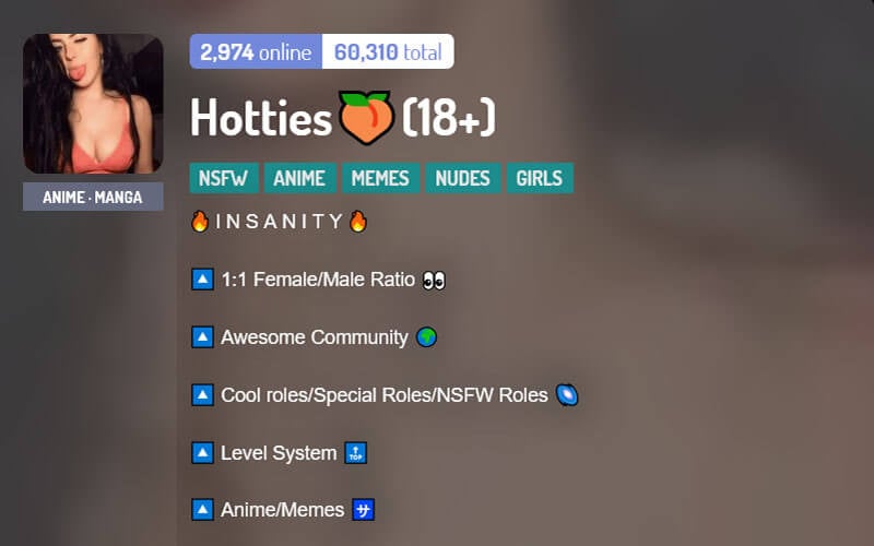 gay furry porn discord servers