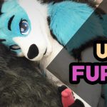 ¿Qué es Furry? ¡La guía peluda definitiva!