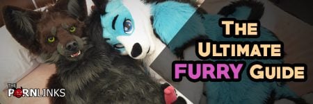 Furry guide