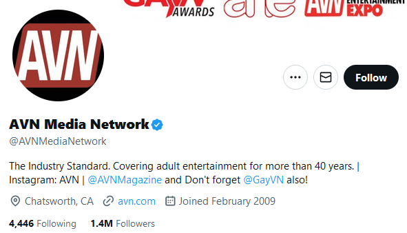 Página de perfil de Twitter porno de AVNMediaNetwork.