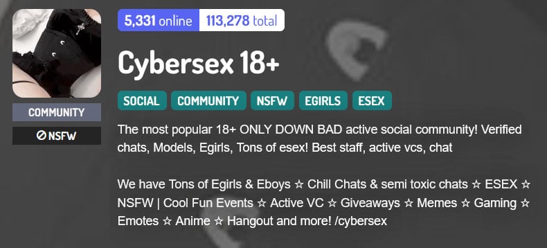 Cybersex 18+ Discord server banner with description.