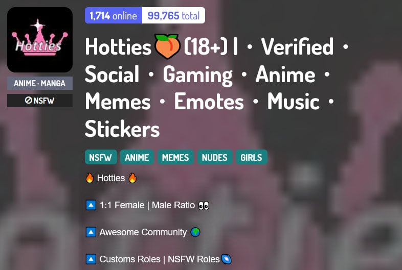 Hotties 18+ Discord server banner with description.