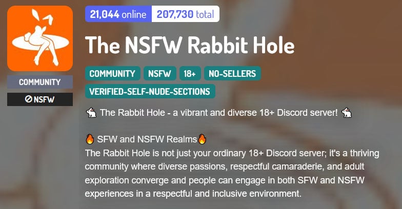 The NSFW Rabbit Hole 18+ Discord server banner with description.