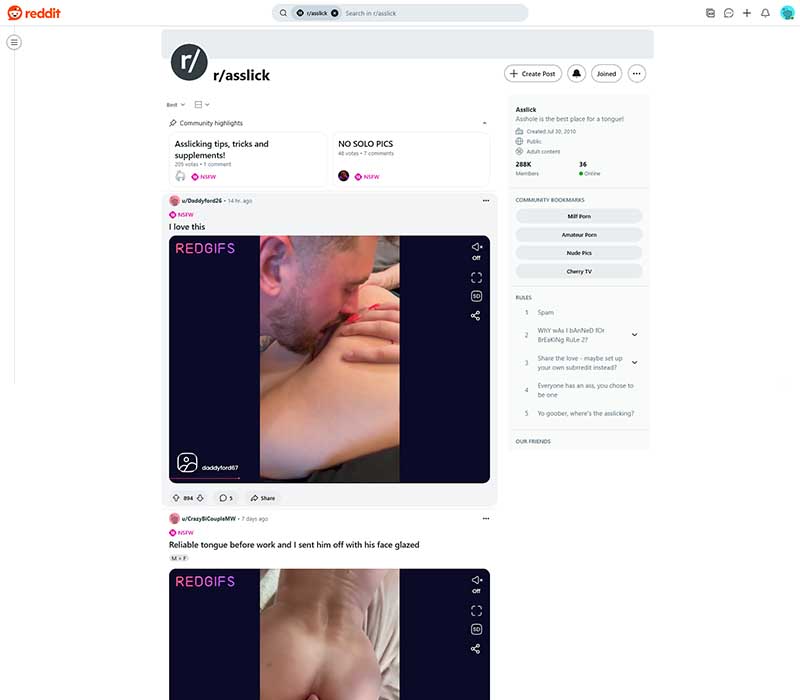 Reddit Asslick Review