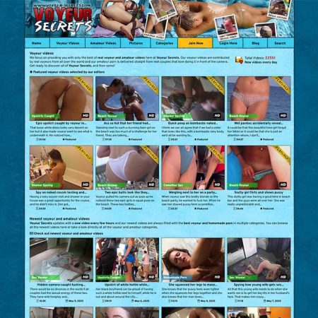 Voyeur Secrets